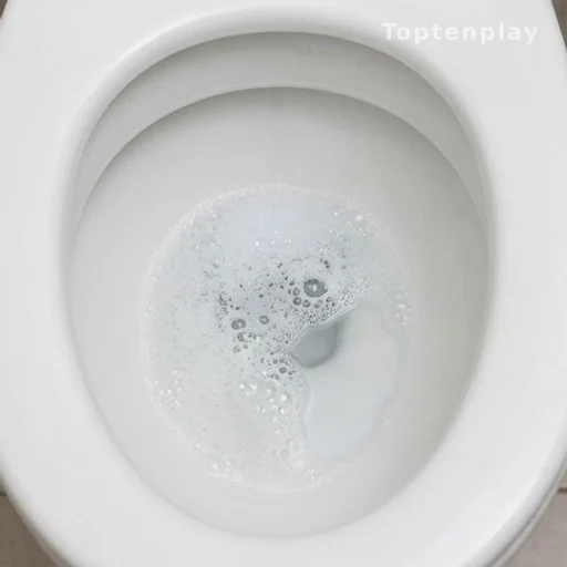 Persistent foam in toilet bowl illustrating a kidney health warning sign