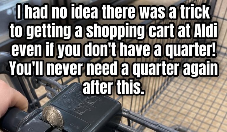 forgot-your-quarter-at-aldi-here-s-how-to-still-ge cover
