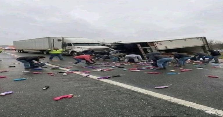 over-65-dead-in-highway-pile-up-fog-fire-and-a-com cover