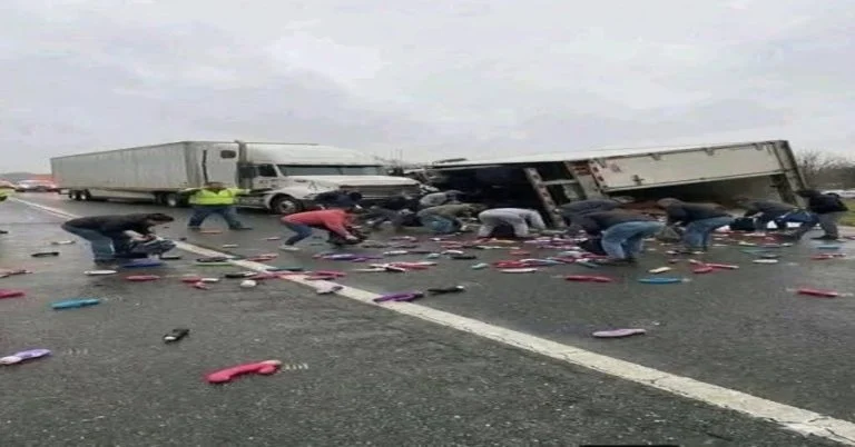 over-65-dead-in-highway-pile-up-fog-fire-and-a-com cover