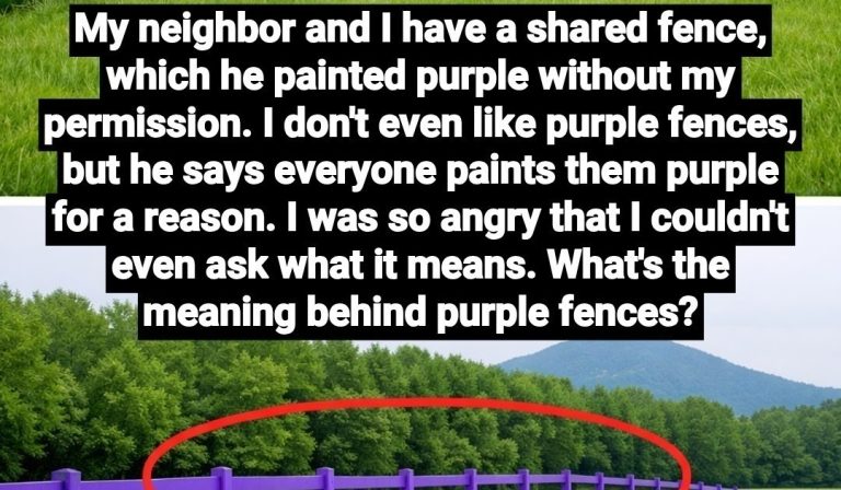 purple-paint-on-a-fence-is-a-legal-warning-in-22-s cover