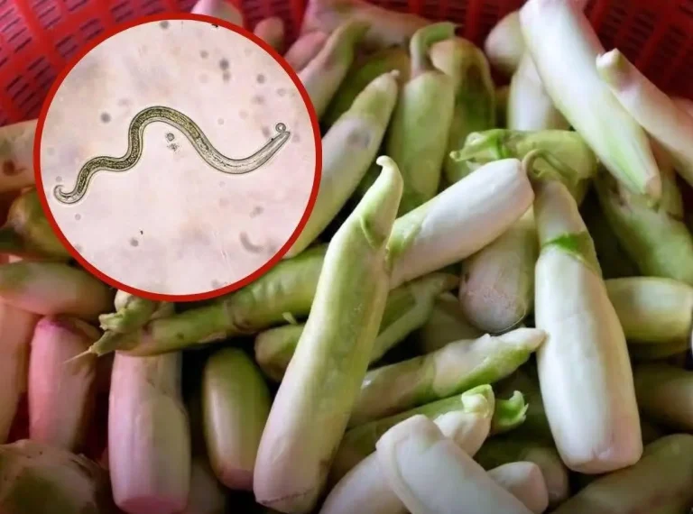 raw-aquatic-vegetables-and-parasites-what-the-vira cover