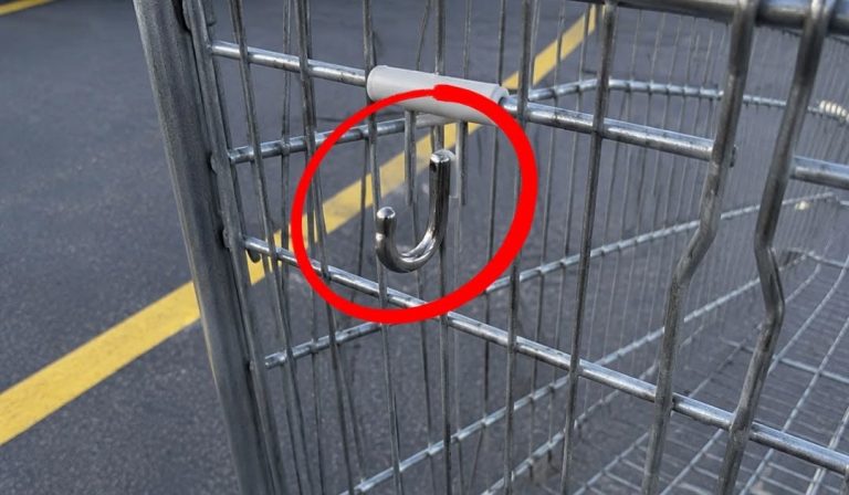 the-hidden-hook-on-your-shopping-cart-and-what-it- cover