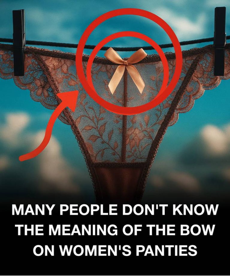 the-small-bow-on-women-s-underwear-is-not-just-dec cover