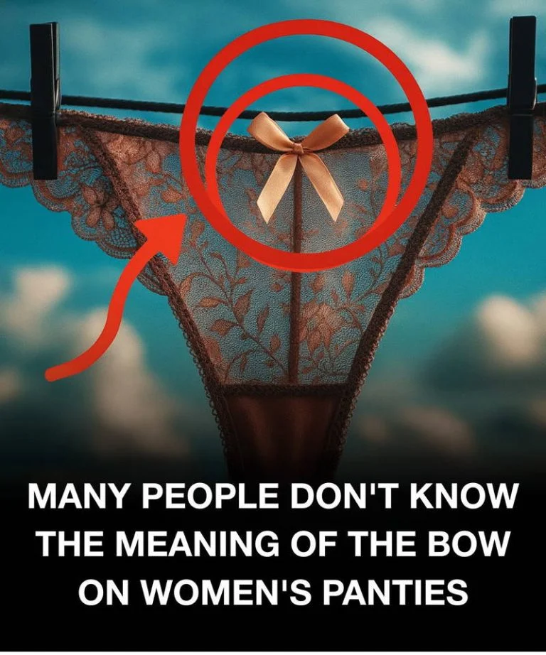 the-small-bow-on-women-s-underwear-is-not-just-dec cover