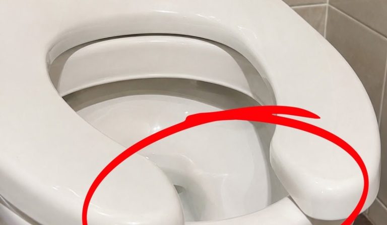 why-us-public-restrooms-are-legally-required-to-ha cover