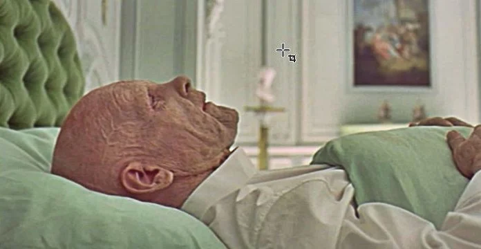 your-nose-detects-death-before-your-brain-does-res cover