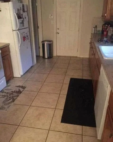 Can you spot the large dog hiding in this kitchen photo? cover
